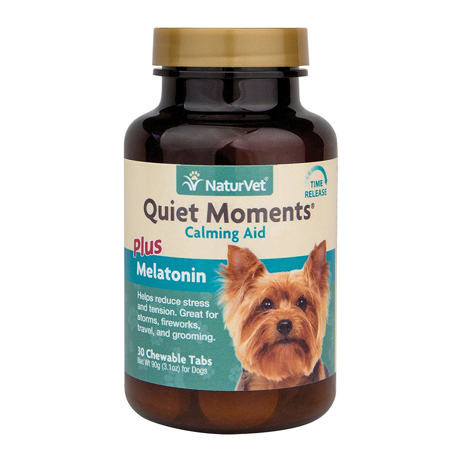 quiet moments for dogs